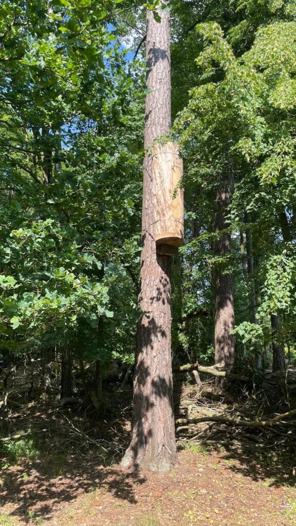 Widok na góry i pola ryżowe o zmierzchu
